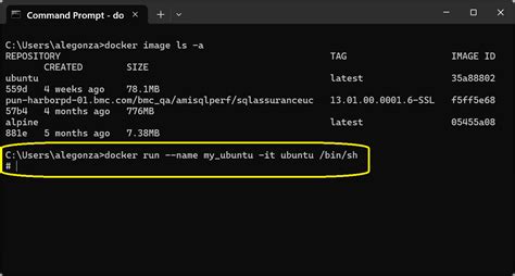 Docker Create Ubuntu Container Command に対する画像結果