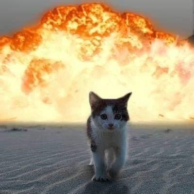 Image result for Nuke Explosion Cat Face Meme