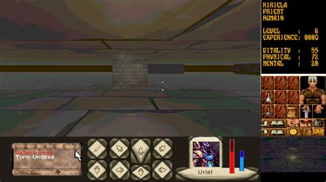 Image result for First Person Dungeon Crawler