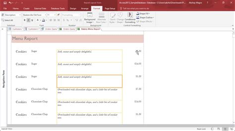 Image result for Professional Access Reports