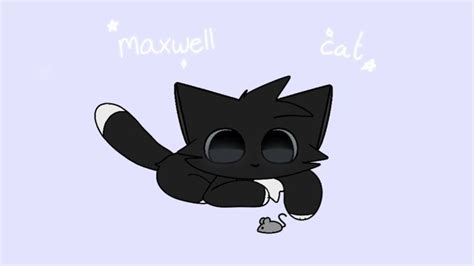 Image result for Evil Maxwell Cat