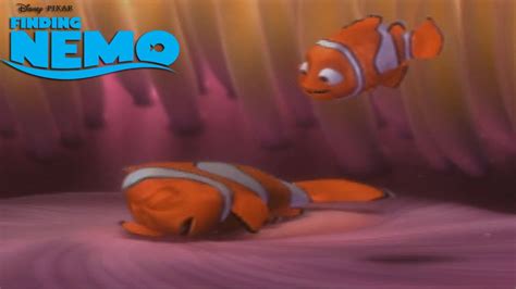 Résultat d’images pour Finding Nemo Part 1 B