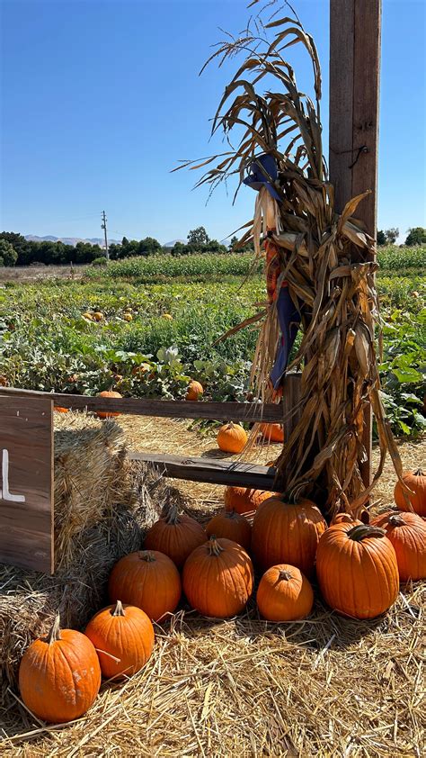 Image result for Dress Codes for Roblox