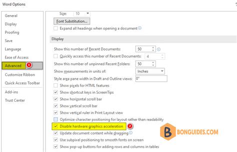 Image result for Disable Graphics Acceleration Office 16