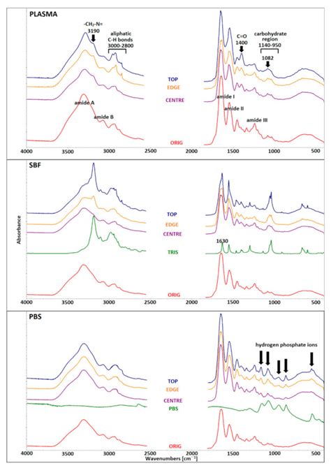 Image result for Simulation of Tissue Fluid