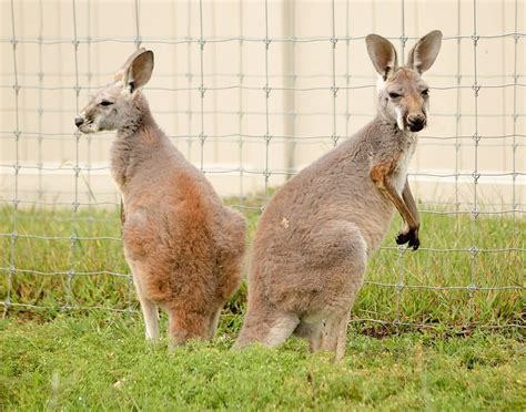 Afbeeldingsresultaten voor Computer Science History Museum