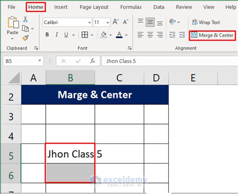 How to Make a Row Two Lines in Excel に対する画像結果