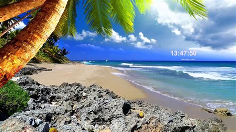 Image result for Paradise Pier Roblox