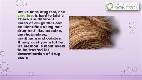 Image result for Hair Sample Drug Test