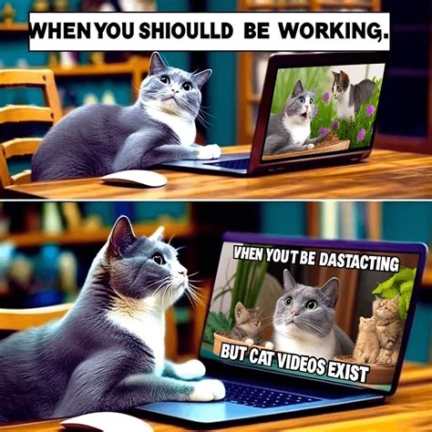 Image result for Ai Cat Meme