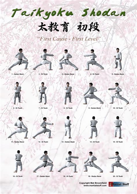 Image result for Basic Karate Moves