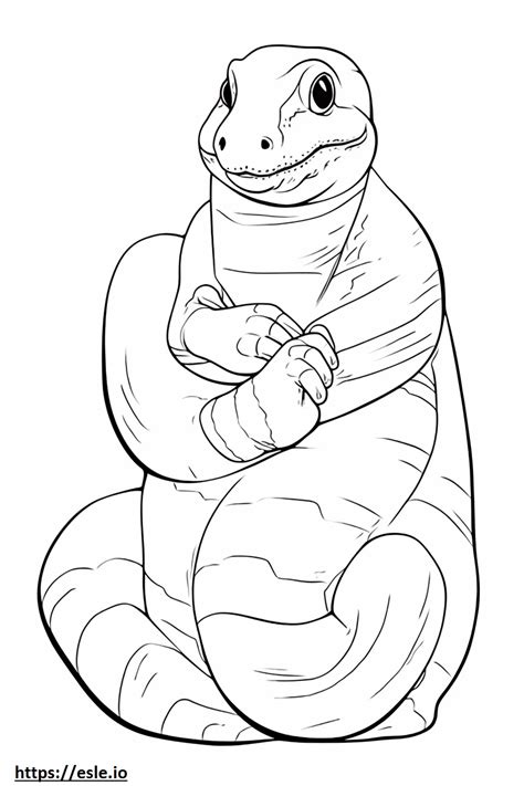 Afbeeldingsresultaten voor Esle If Python