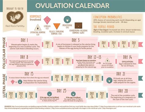 Afbeeldingsresultaten voor Period Ovulation Cycle Chart