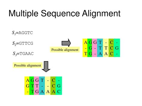 Image result for Multiple Sequence Alignment Flow Chart