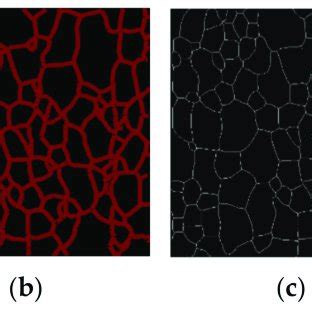 Annotated Images に対する画像結果