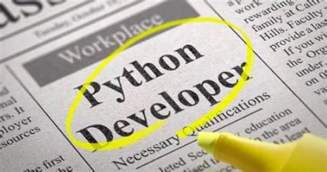 Fresher Python Developer Jobs に対する画像結果