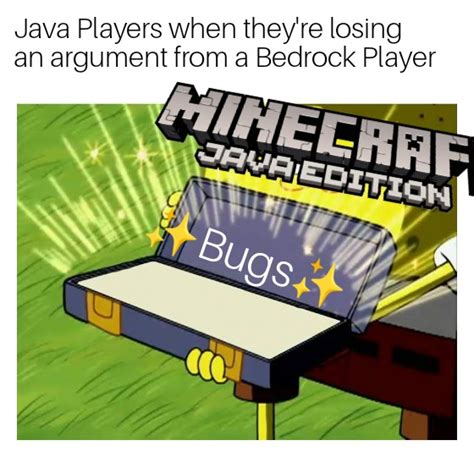 Image result for Java vs Windows 10 Minecraft Meme
