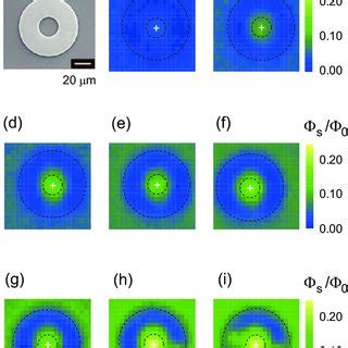 Toradh íomhá ar Squid Microscopy