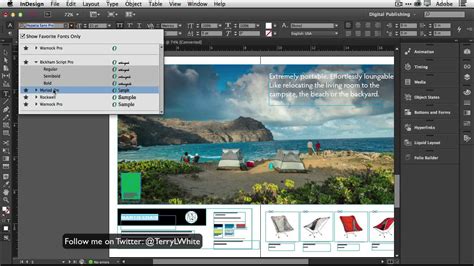 Image result for Indesign Cc