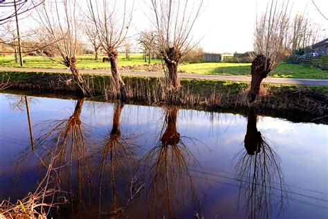 Image result for Vliesje UI