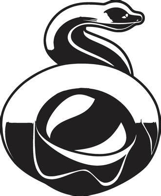 Image result for 16X16 Python Logo