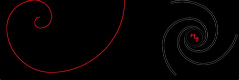 Image result for Fibonacci INR