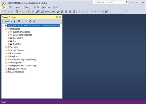 Tables Node in SQL Sever に対する画像結果
