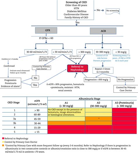 Image result for CKD Algorithm UK