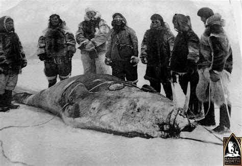 Afbeeldingsresultaten voor Canadian Inuits