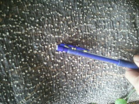 Toradh íomhá ar DataGridView Grouping WinForms