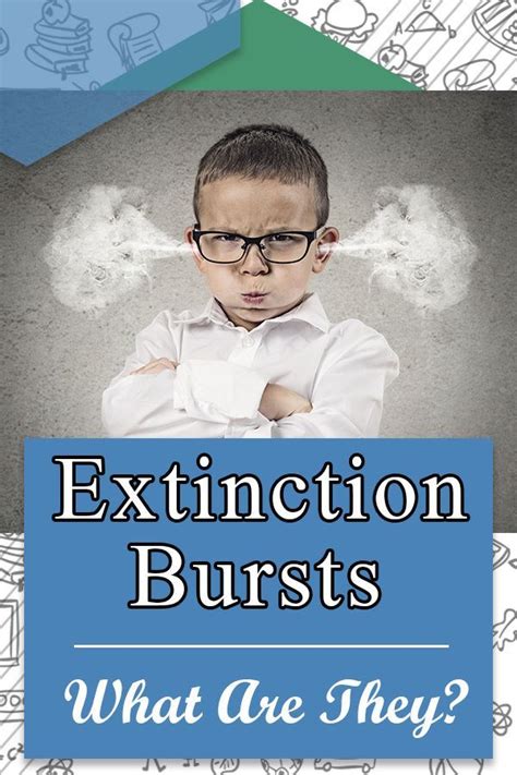 Extinction Behaviors ABA Examples に対する画像結果