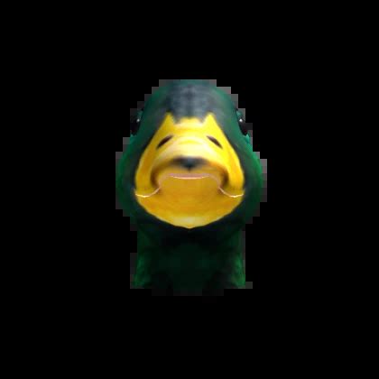Image result for Grow a Duck Roblox