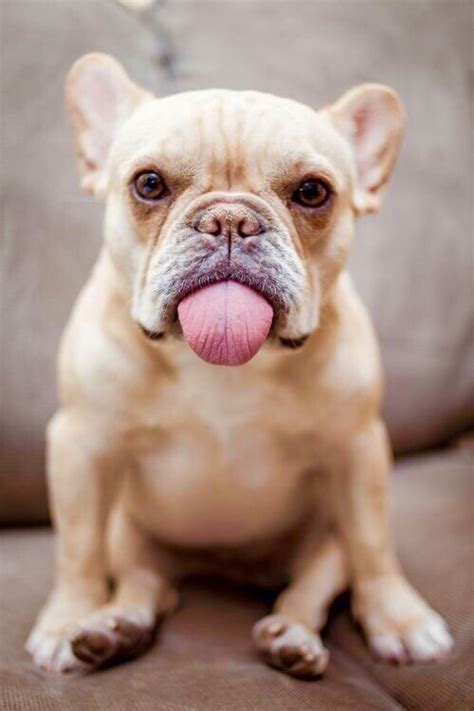 The Feral Irishman: Friday Femme Fatale....