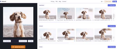 Afbeeldingsresultaten voor Best Reverse Image Search Tools