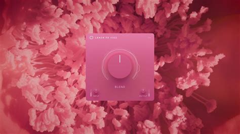 Image result for Is Audacity Free