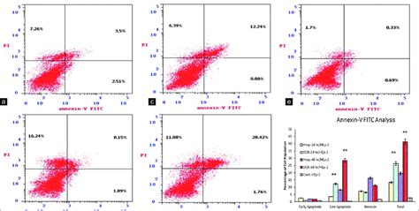 Image result for Annexin Assay