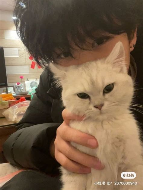 Image result for Korean MC PFP