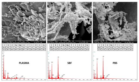 Image result for Simulation of Tissue Fluid