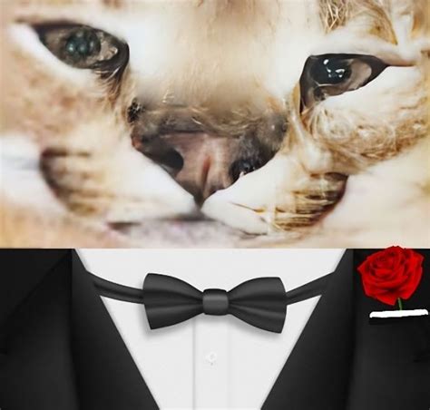 Image result for Beast Roblox Shirt