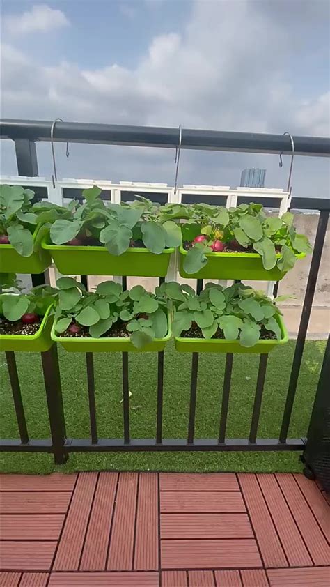 Toradh íomhá ar Patented Vertical Design