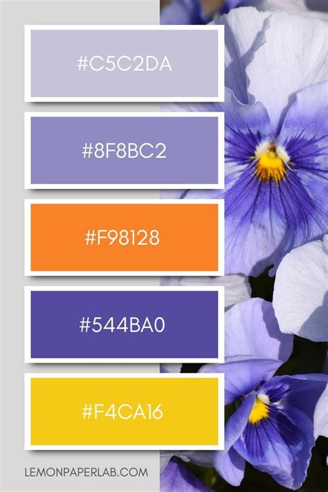 Image result for Purple and Yellow Color Scheme