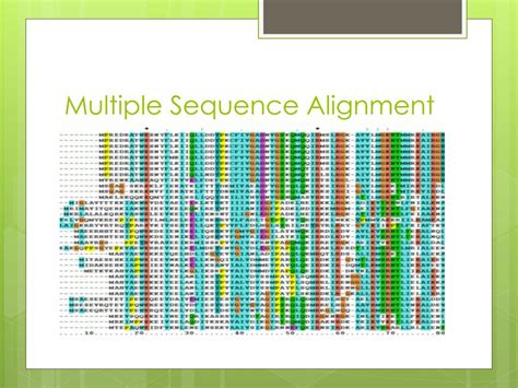 Image result for Multiple Sequence Alignment Flow Chart