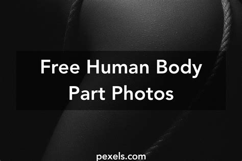 Image result for Body Parts Rid Off