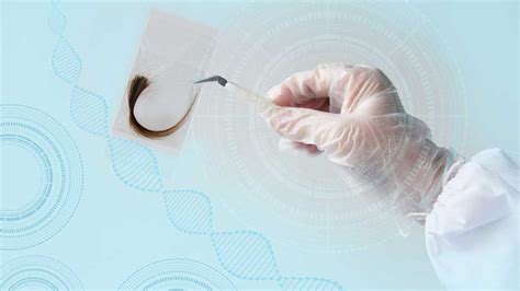 Image result for Hair Sample Drug Test