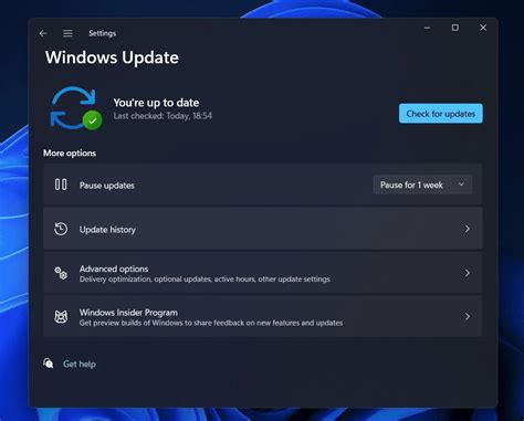 Image result for Eliminating Windows 11 Update