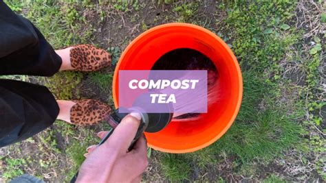 Making Compost Tea に対する画像結果