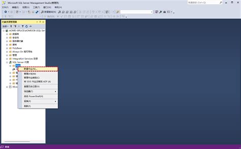 Toradh íomhá ar SQL Server Management 2019