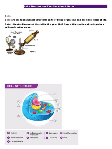 Image result for Cell Structure and Function Class 8 PDF