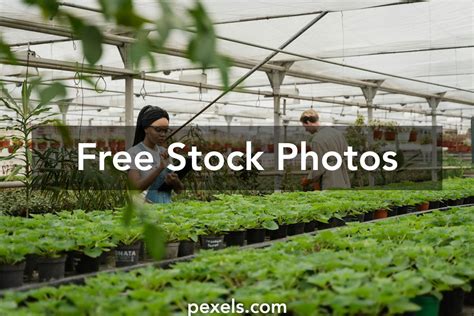 Image result for Ecosystem Meaning a Workplace