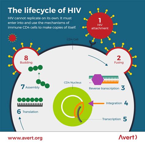 Image result for HIV/AIDS